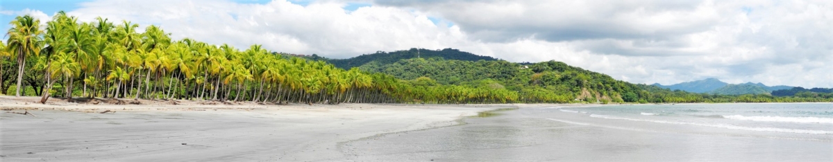 Playa Carrillo (m.prinke)  [flickr.com]  CC BY-SA 
Informazioni sulla licenza disponibili sotto 'Prova delle fonti di immagine'